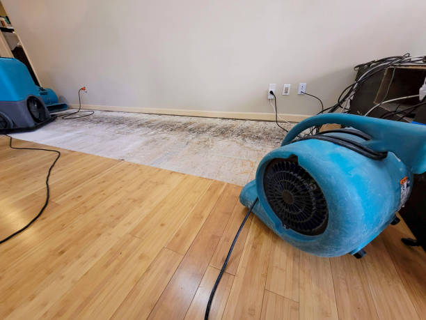 Professional Sewage Cleanup technician working in Elgin, IL
